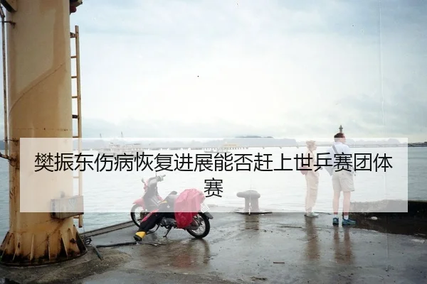 樊振东伤病恢复进展能否赶上世乒赛团体赛